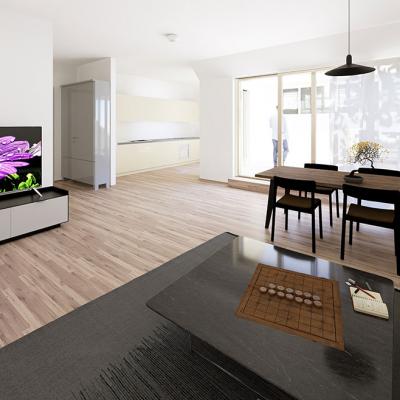 Lienfeldergasse, LCB-Planung GmbH, Rendering - Innenansicht Wohnung